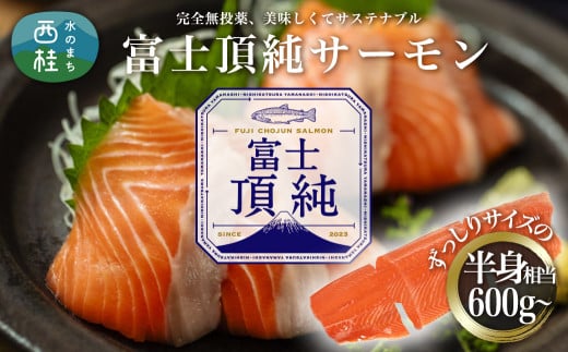 富士頂純サーモン